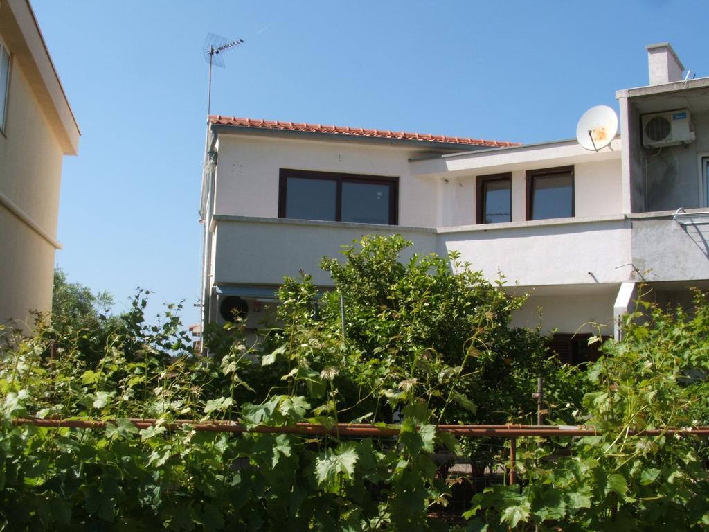 Apartments Maslina Božava Rom bilde